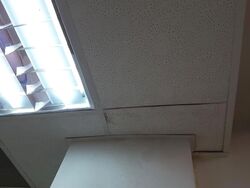 International Plaza (D2), Office #627833131